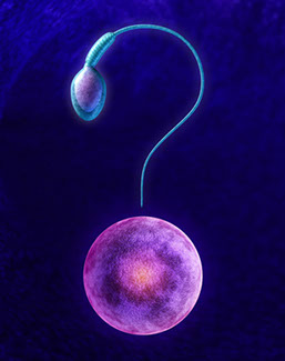 image of male sperm formed into a question mark with an unfetilized egg as the 'dot'